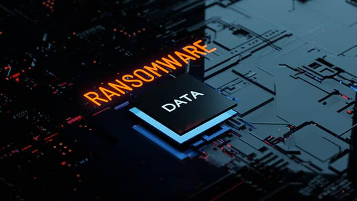 Uma versão de um kit de ferramentas de ransomware de código aberto chamado Cryptonite foi observada na natureza com recursos de limpeza devido à sua “arquitetura e programação fracas”.