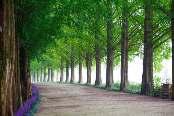Brasil é atacado por malware que rouba SMS e senhas em campanha criminosa mundial